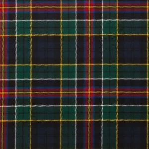 Allison Modern Autumn Weight Tartan Fabric