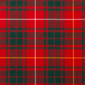 Bruce Modern Autumn Weight Tartan Fabric
