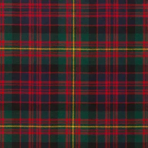 Carnegie Modern Autumn Weight Tartan Fabric