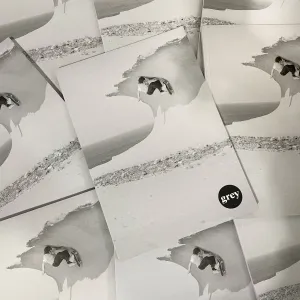 Grey Skate Mag - Vol. 5 - Issue 21 (FREE WITH ANY PURCHASE)