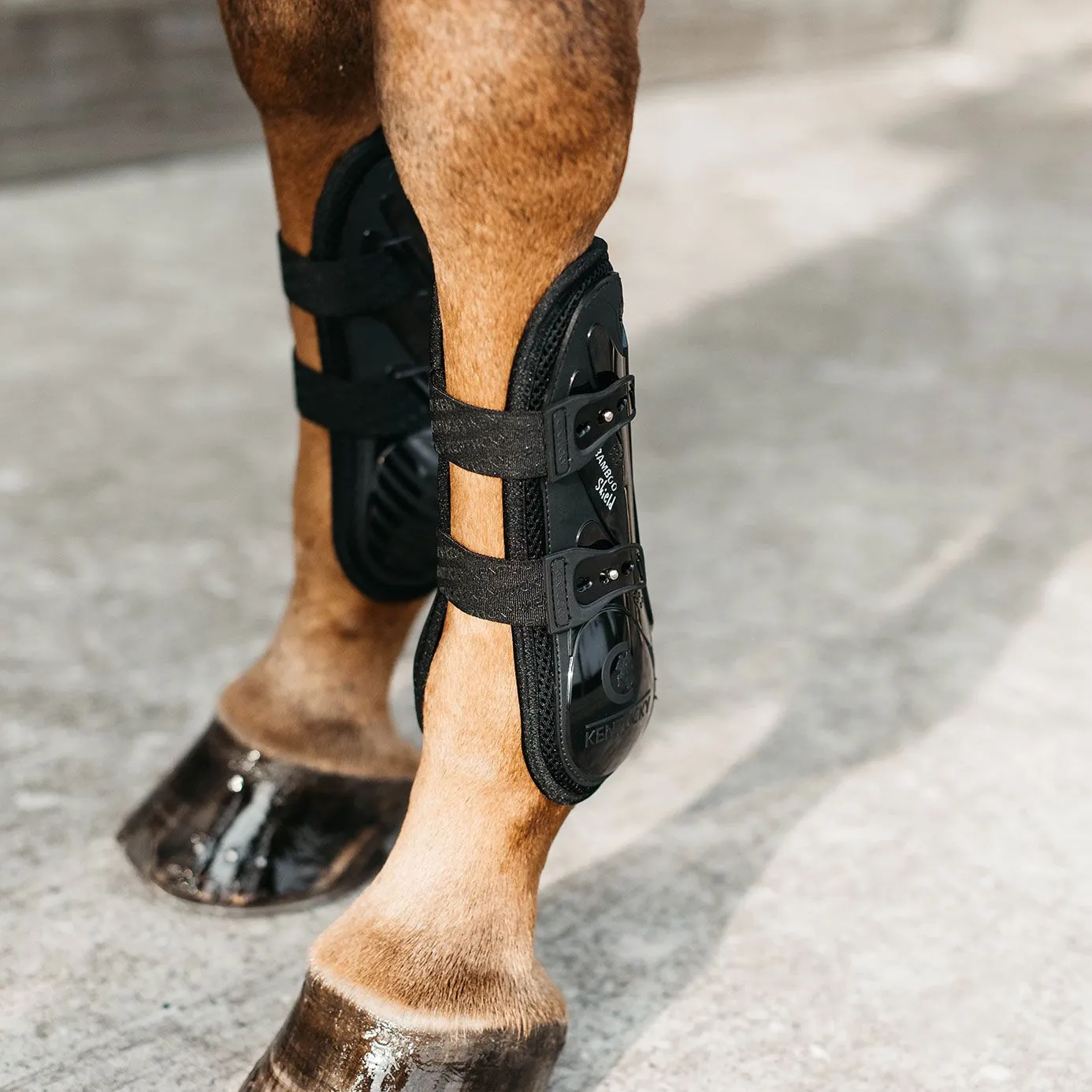 Kentucky Horsewear Bamboo Tendon Boots Elastic - Black