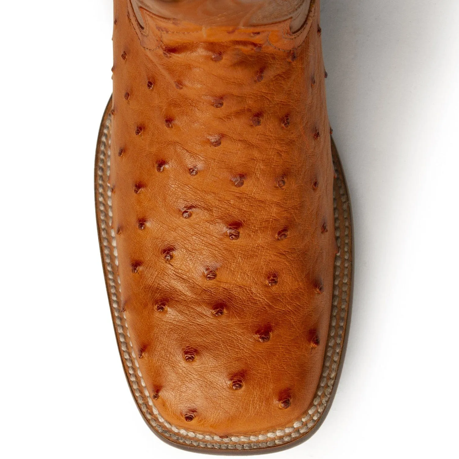 Men's Ferrini Colt Full Quill Ostrich Square Toe Boot 1019302