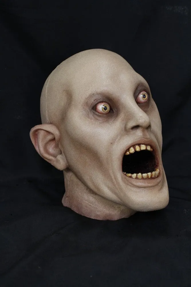 Mr. Twisted Head
