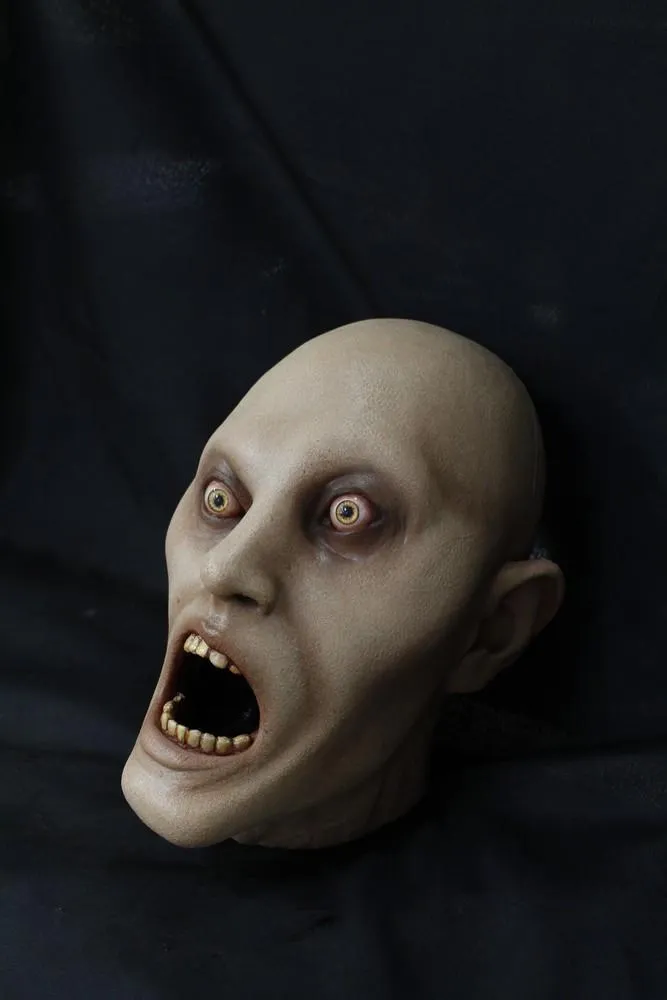 Mr. Twisted Head