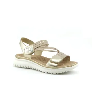 Wilde Sannah Gold
